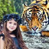 Tiger Photo Editor and Frames
