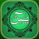 Surah Yasin Dzikir dan Tahlil APK