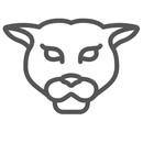 P.CLIENT APK