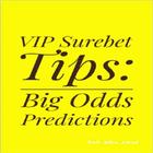 VIP Surebet Tips: Big Odds Daily Betting Tips icône