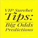 VIP Surebet Tips: Big Odds Daily Betting Tips-APK