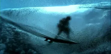 Surfing HD Video Wallpaper