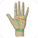 Palm Reading APK