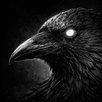 Survival: One More Day APK