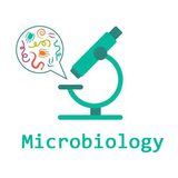 Microbiology In Hindi ไอคอน