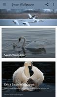 swan Wallpapers poster