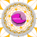 SWMS MATHURA Officer