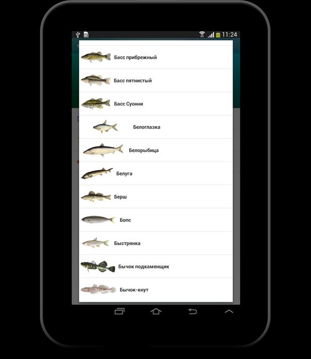 Крутая рыбалка на андроид. Inscription рыболов Скриншоты. Лучшая программа для рыбаков