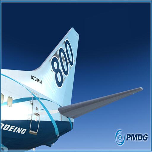 PMDG 737 NGX FUEL PLANE
