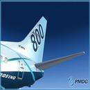 APK PMDG 737 NGX FUEL PLANE