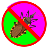 Écraser les insectes