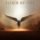 Elixir Of Life Roguelike Rpg APK