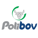 Polibov APK
