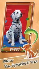 PolySounds - Tiergeräusche & m APK Herunterladen