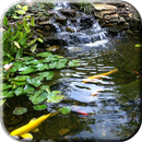 Pond with Koi Live Wallpaper APK