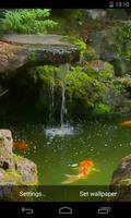 Pond with Koi Live Wallpaper Affiche