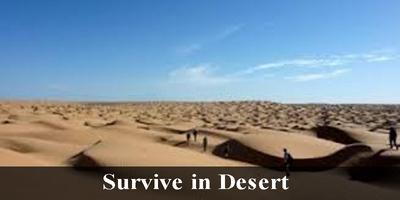 Essential Desert Survival Tips imagem de tela 2