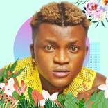 Portable Zazu Music 2023