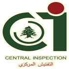 Central inspection icône