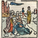 St. Lydwine of Schiedam, virgin (Trial Version) APK