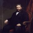 A Collection of Charles Spurge