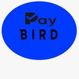 ”pay bird