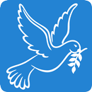 Paz Social APK