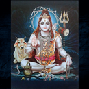 शिवकवच / ShivKavach APK