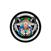 PAING VPN PRO APK
