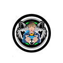 PAING VPN PRO APK