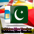 Pakistan E Services 2023