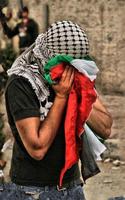Palestine Wallpapers Affiche
