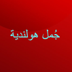 جمل هولندية
