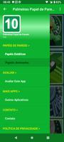 Palmeiras Papel de Parede poster