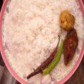 Panta Hilsa