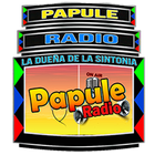 Papule Radio icône