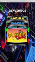 Papule Radio স্ক্রিনশট 3
