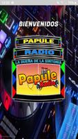 Papule Radio 截圖 3