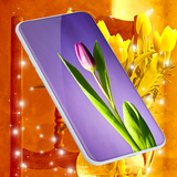 Tulip Spring 4K Wallpapers biểu tượng