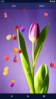 Tulip Spring 4K Wallpapers 截圖 3