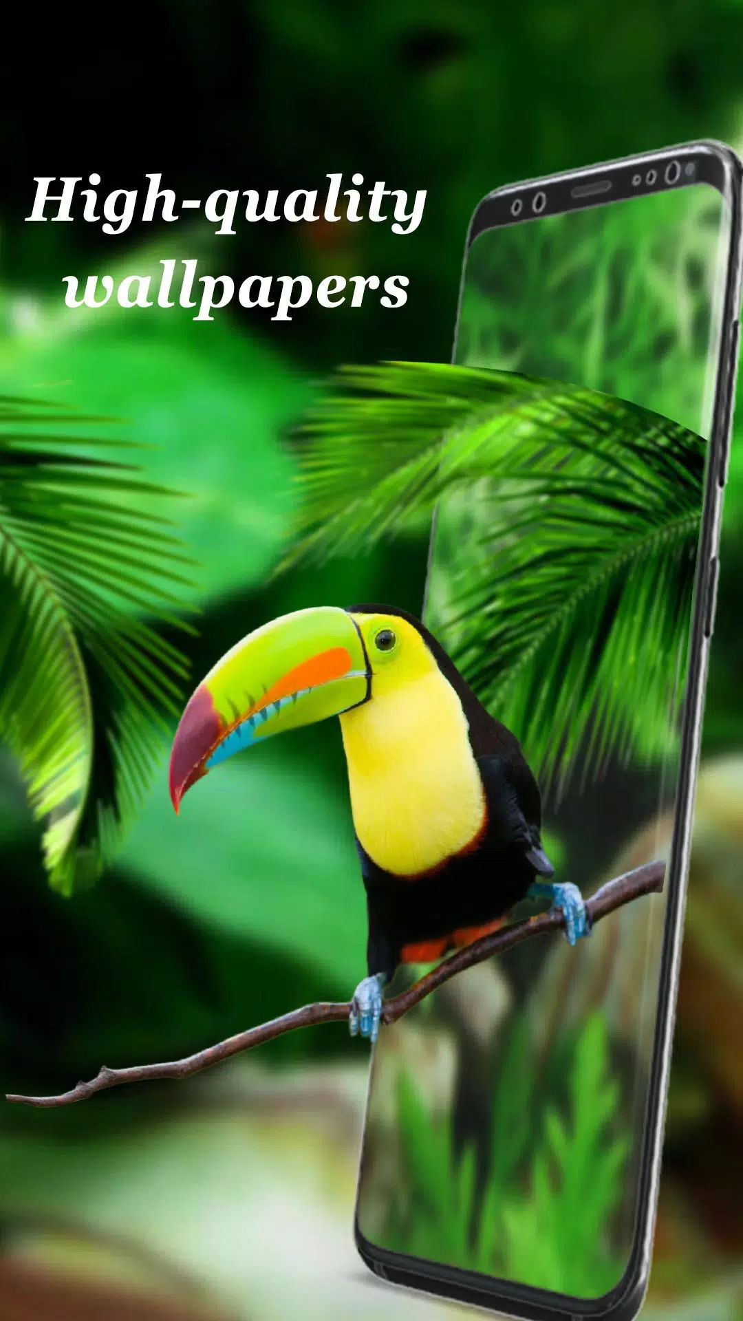 3D LIVE WALLPAPERS HD APK for Android Download 3D LIVE WALLPAPERS HD APK for Android Download
