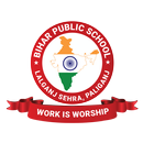 APK Bihar Public School