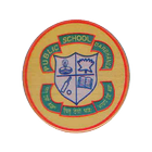 Public School Darbhanga Bela icon