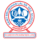 St Brijmohan lal Sr Sec School ícone