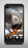 Parrot like Mandarin LiveWP Ekran Görüntüsü 2