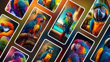 Parrot Wallpapers 4K پوسٹر