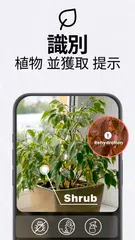 PDF掃描應用程式 - TapScanner XAPK 下載