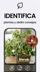 Descargar XAPK de Escáner a PDF - TapScanner