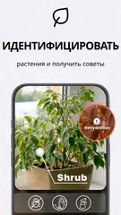 Скачать TapScanner - Сканер PDF XAPK