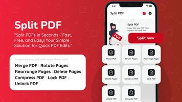 Dividir páginas PDF Cartaz
